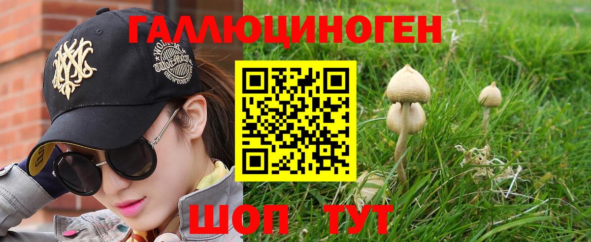 Щёлково  Псилоцибиновые грибы MAGIC MUSHROOMS  Вход с VPN  Галлюциногенные грибы прущие грибы 